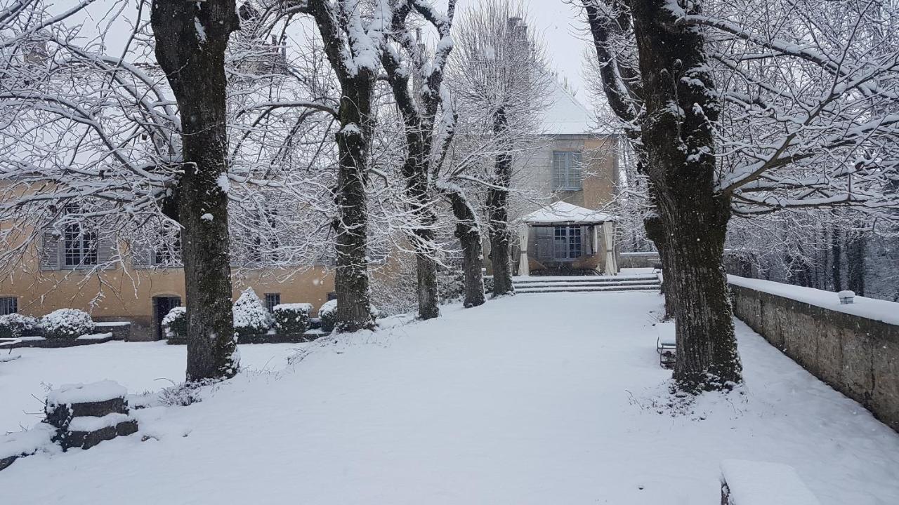 Chateau De Mauvilly Bed and Breakfast Exteriör bild